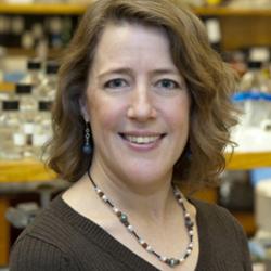 Susan Cole Susan Cole