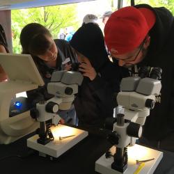 Kid using microscope Kid using microscope